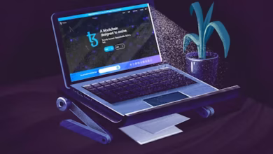 zryly.com internet
